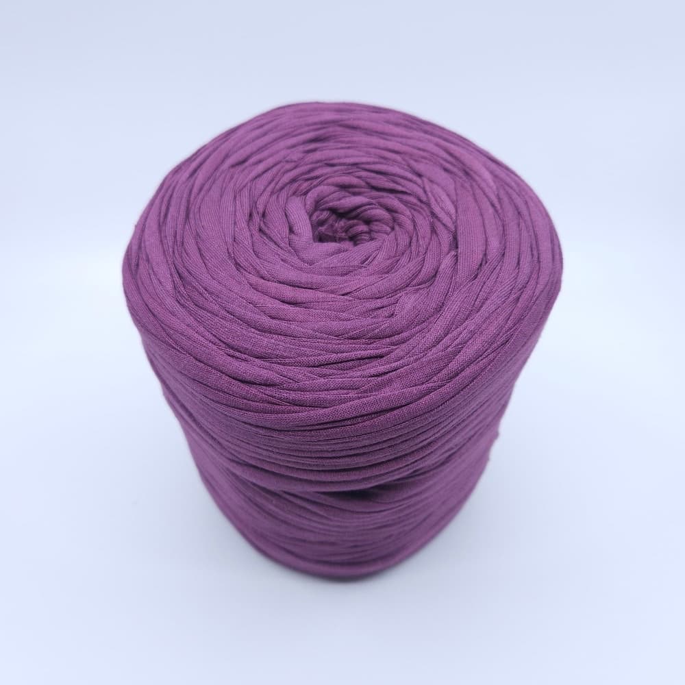 Zpagetti - It's A Lily