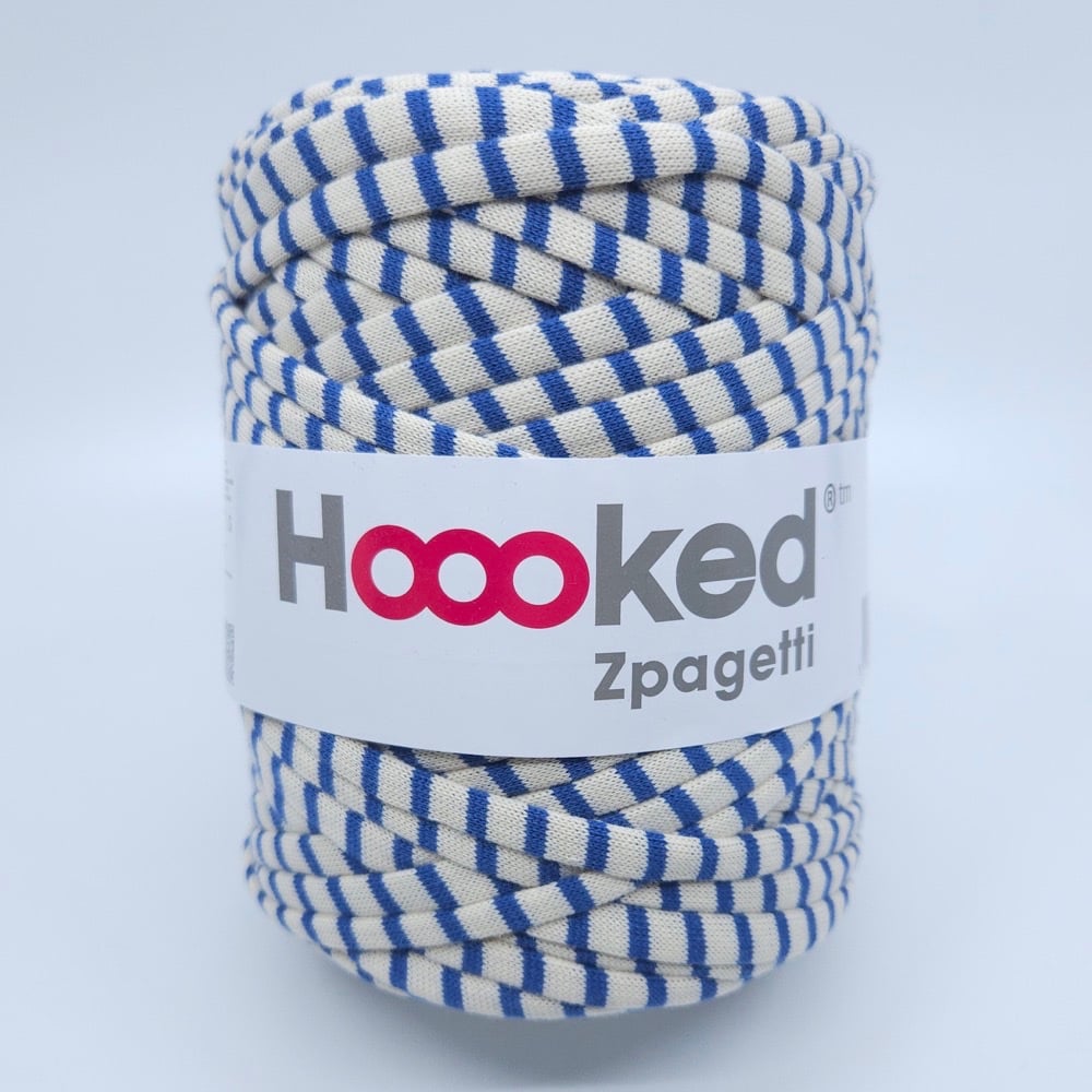 Zpagetti - Blue Painter